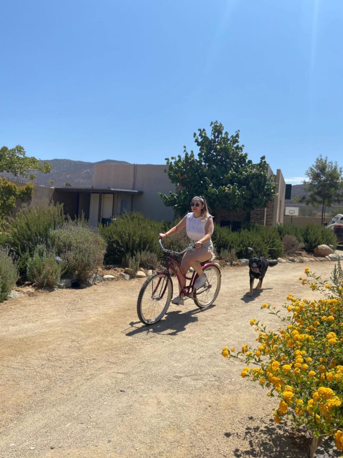 מלון Villa de Juarez Quinta Lorame מראה חיצוני תמונה