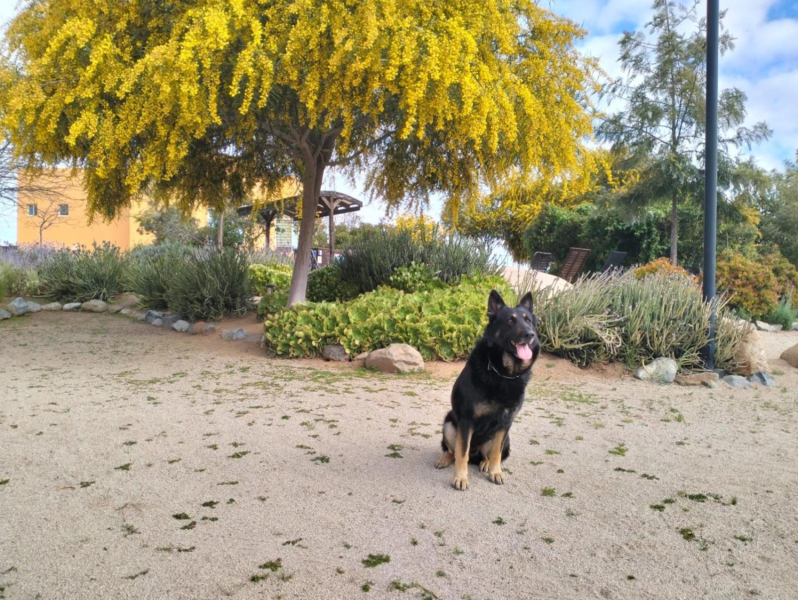 מלון Villa de Juarez Quinta Lorame מראה חיצוני תמונה